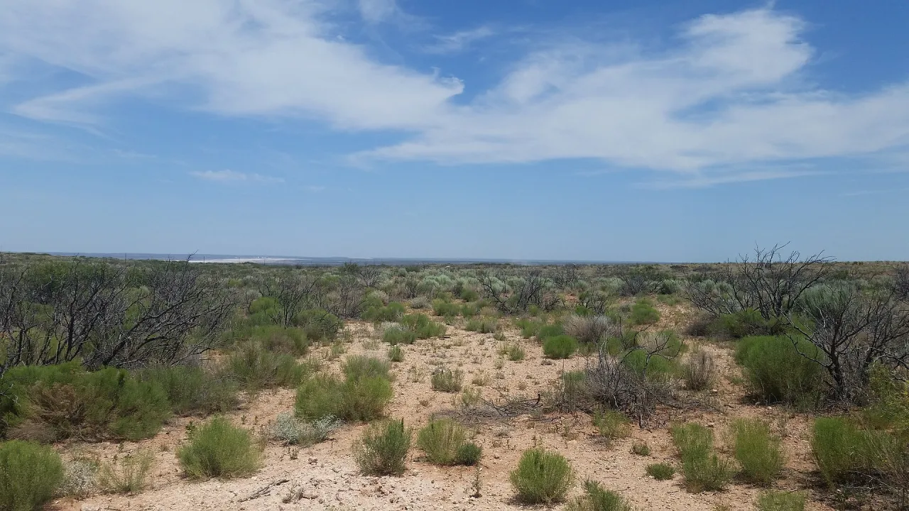 Llanura seca y arenosa de un rancho en plena temporada de sequía